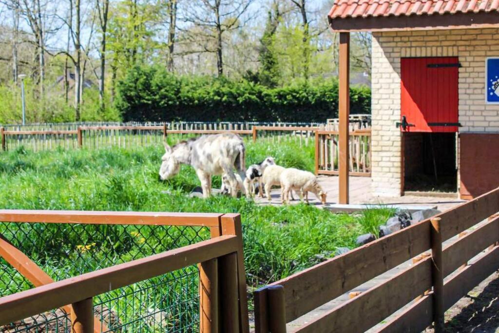 Tof Wellness Huis, Alles Nieuw, Gelegen Bij Meer. Vakantiehuis